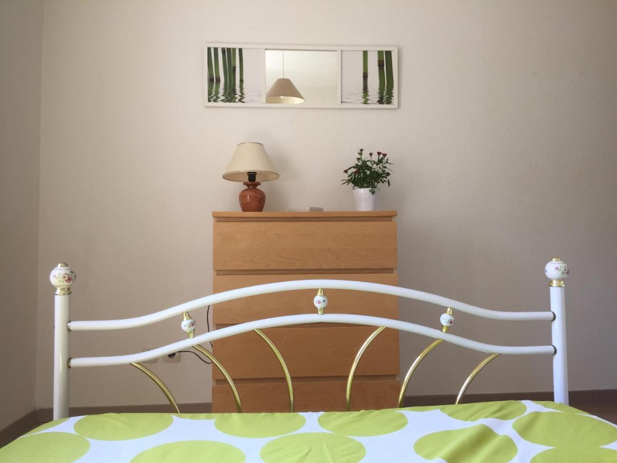Les Iris Daire Carcassonne Dış mekan fotoğraf