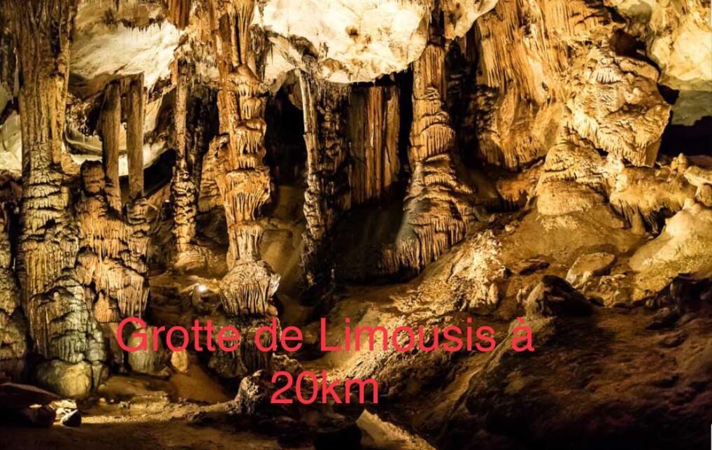 Les Iris Daire Carcassonne Dış mekan fotoğraf