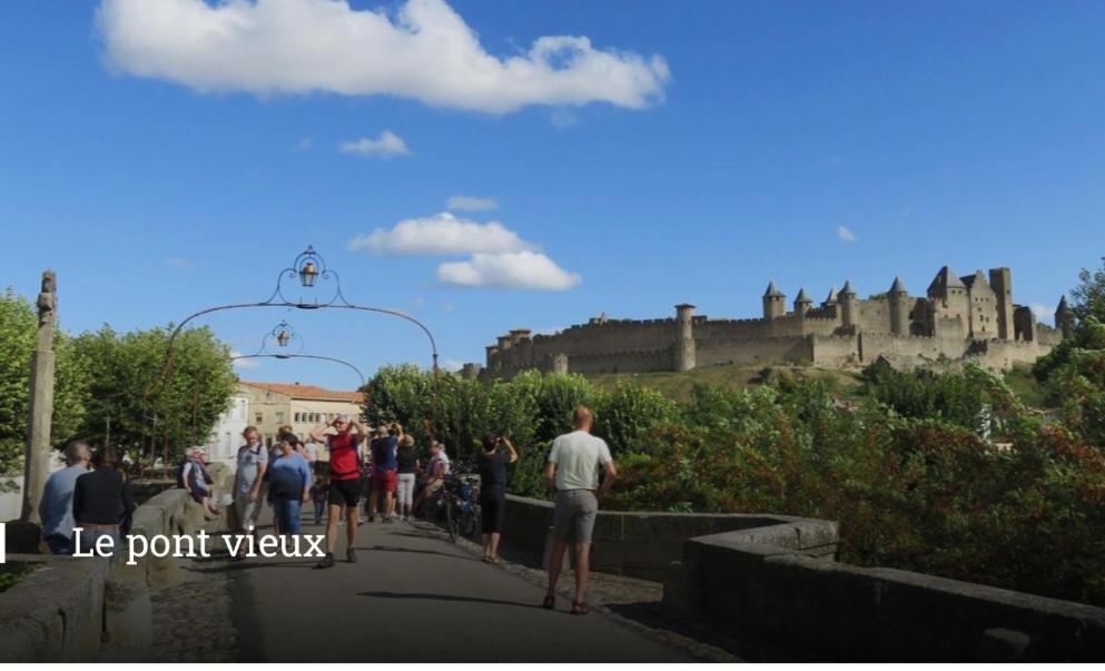 Les Iris Daire Carcassonne Dış mekan fotoğraf