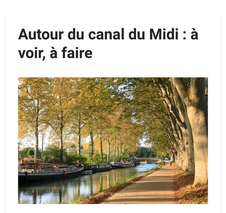 Les Iris Daire Carcassonne Dış mekan fotoğraf